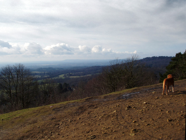 Holmbury Hill Views