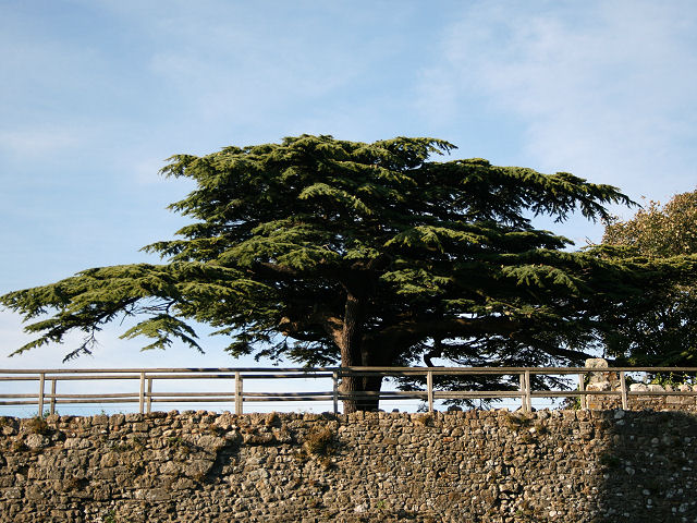 Carisbrooke Castle